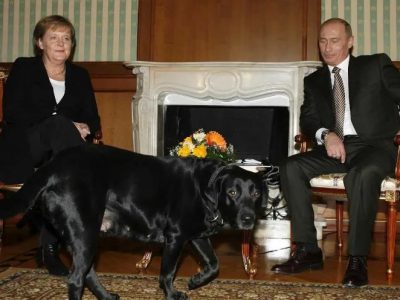 În 2007, Merkel s-a întâlnit cu Putin - și cu câinele său Koni. Sursa: AP